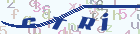 验证码