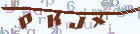 驗證碼